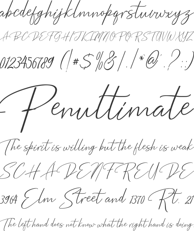 Bentosa font preview