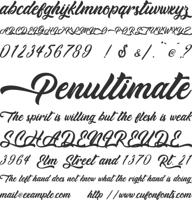 Cheetah Kick - Personal Use font preview
