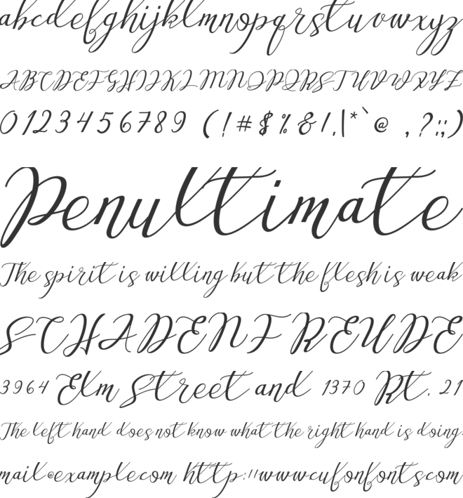 Love Amsterdam Script font preview