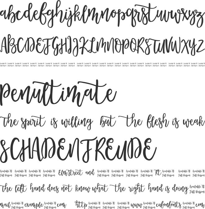 Morable font preview