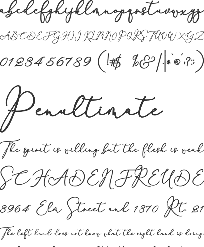 Rachela font preview