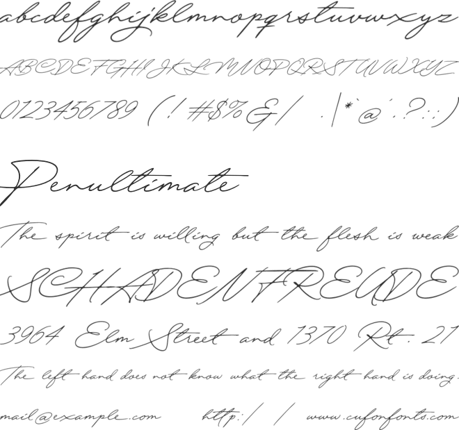 Quick Signature Personal Use font preview