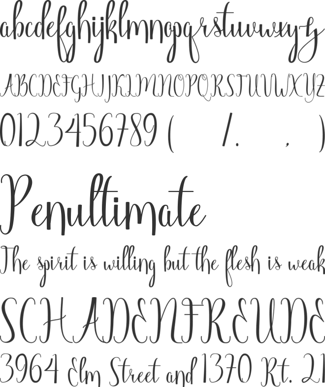Angelica Free font preview