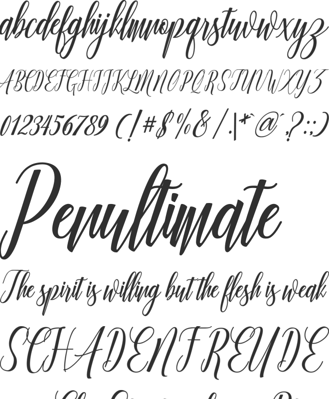Truelike font preview