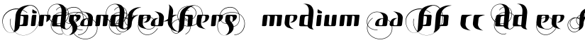 BirDSAnDFEatHerS Medium font
