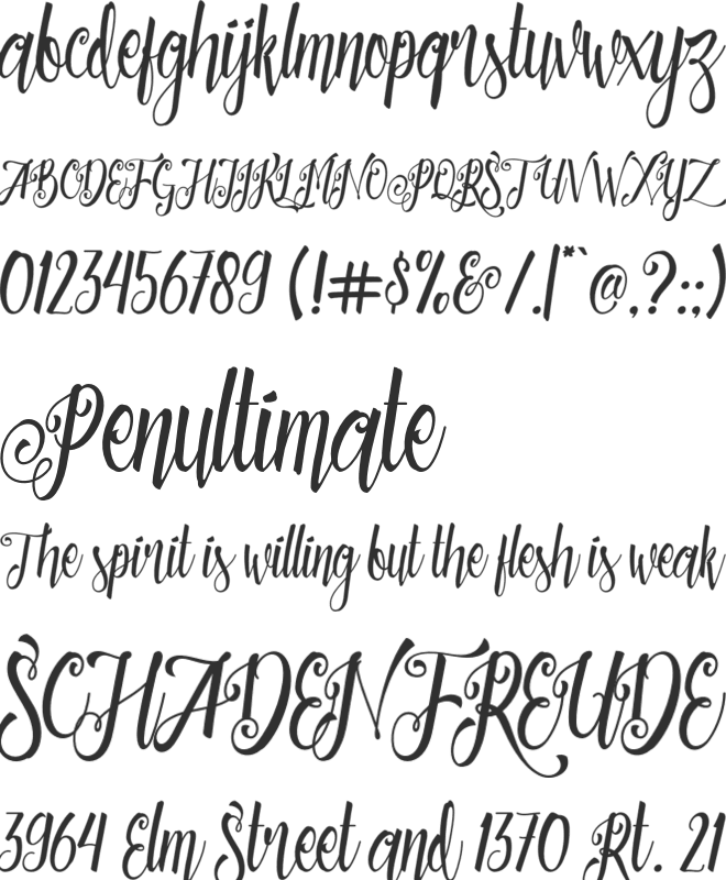 Patronia Script font preview