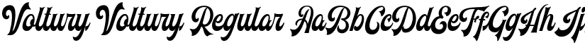 Voltury Voltury-Regular font