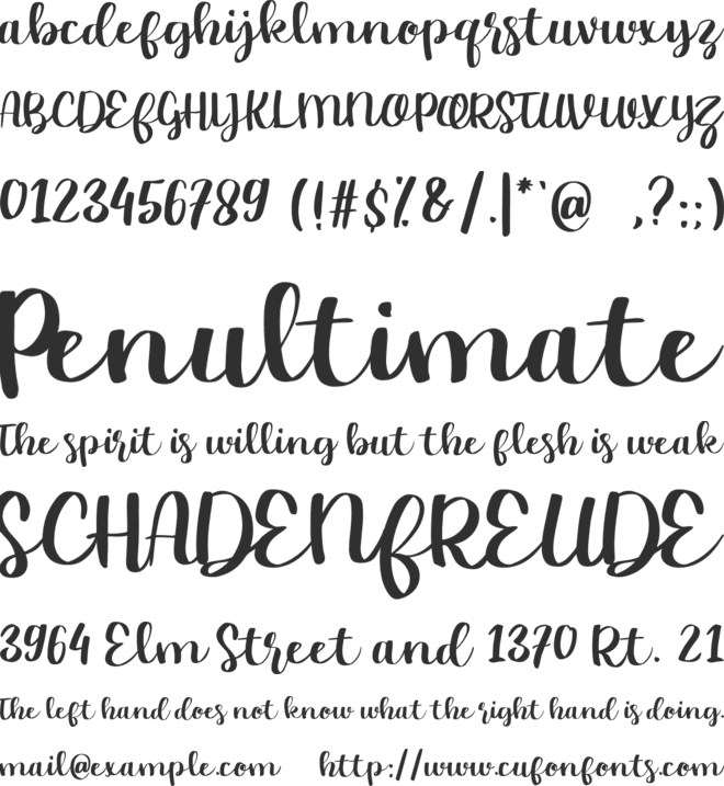 Chasy font preview