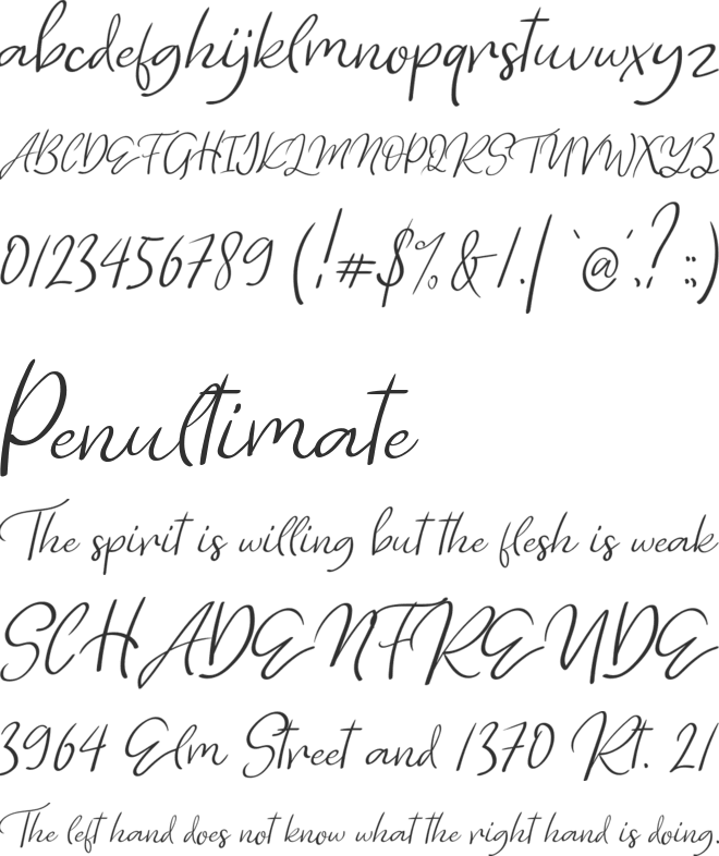 Lovely Rainy font preview