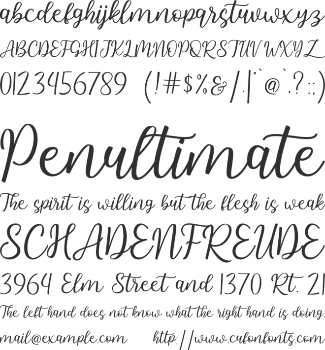 Hallo Carthy font preview