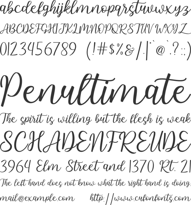 Hallo Carthy font preview