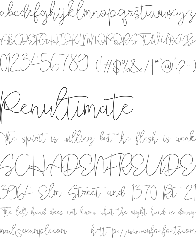 Rhythm Script font preview
