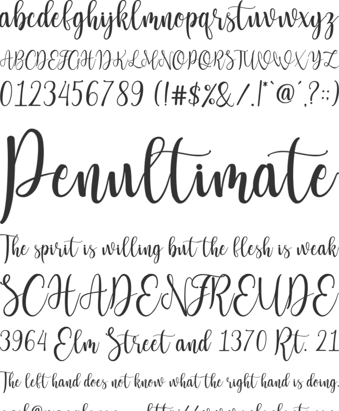 Lattesha Script font preview