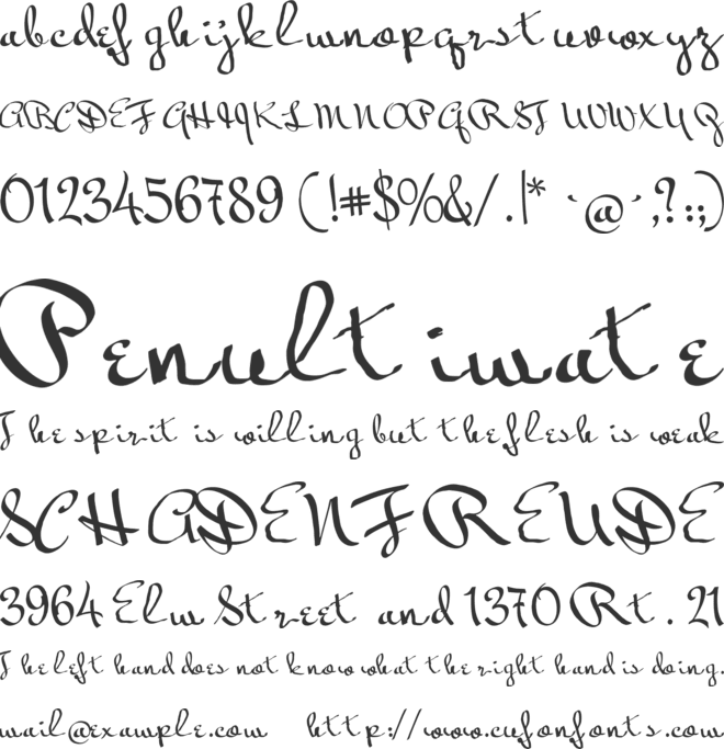 Current status font preview