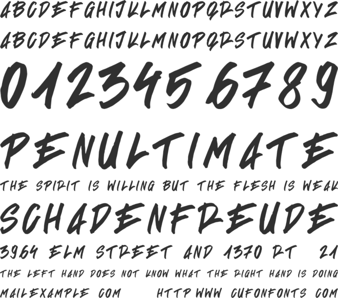Signgual font preview