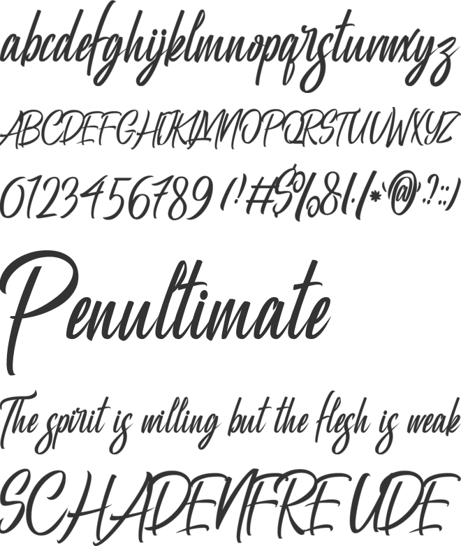 Manhatoones Script font preview