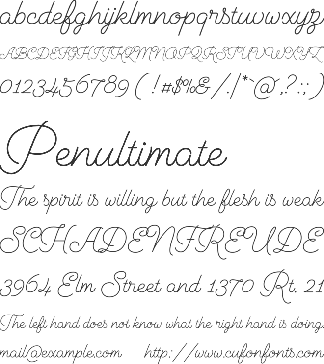 Cosmopolitan Script font preview