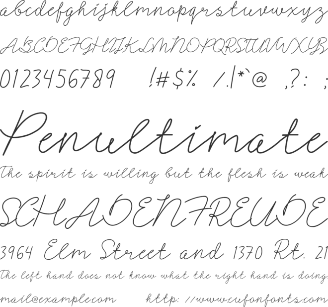 Signerella Script font preview