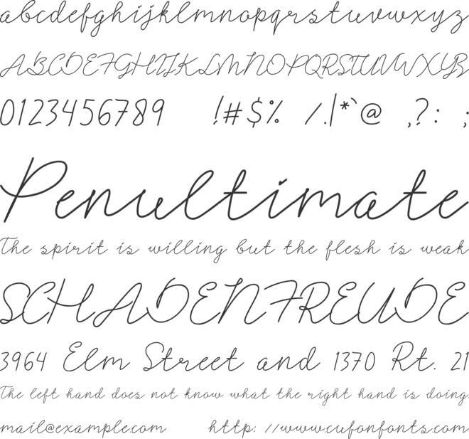 Signerella Script font preview