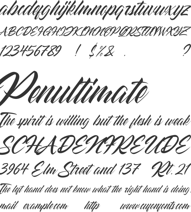 Striped King font preview