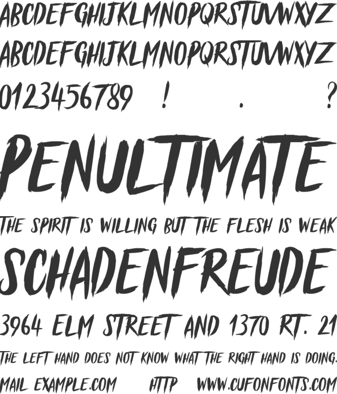 Blessed Believer font preview