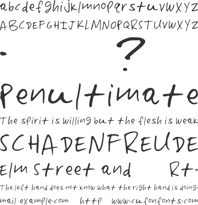 Paterson font preview