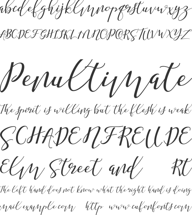 Shany font preview