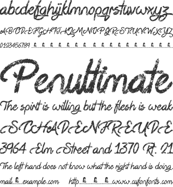 Steady Rain font preview