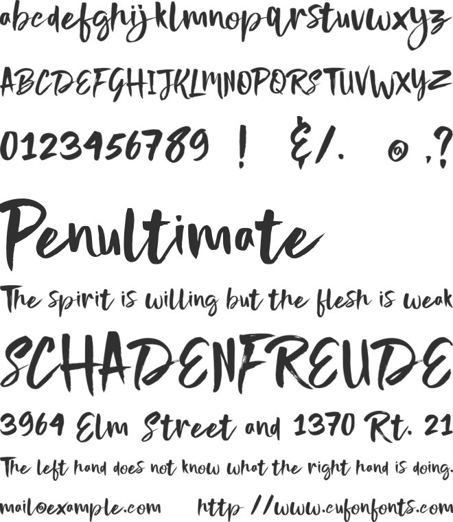 nightype font preview