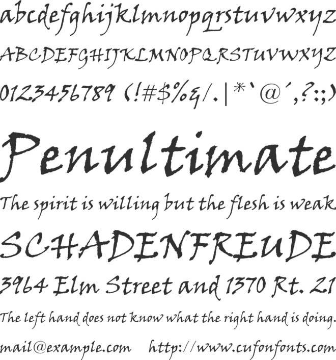 Viner Hand ITC font preview