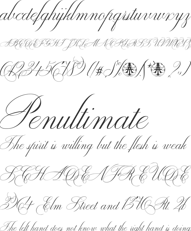 Enica Personal Use Only font preview