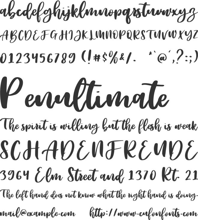 Colorado font preview