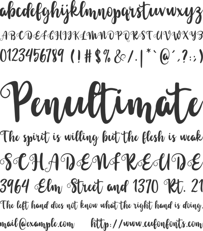 Sarllina font preview