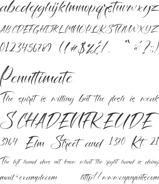 Savage Brush font preview