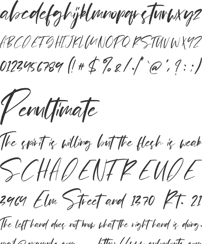 Pejuang Cinta font preview