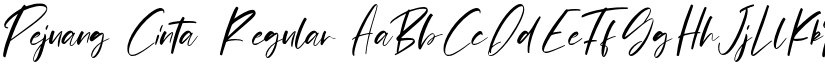 Pejuang Cinta Regular font