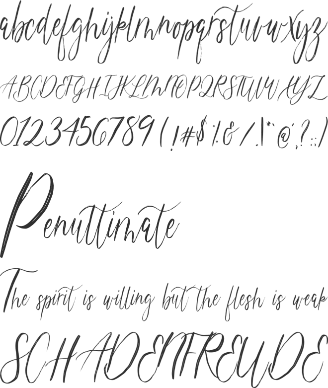 magdalena script font preview