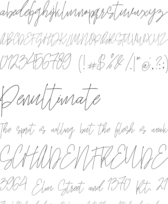 Samuel Zevanni font preview