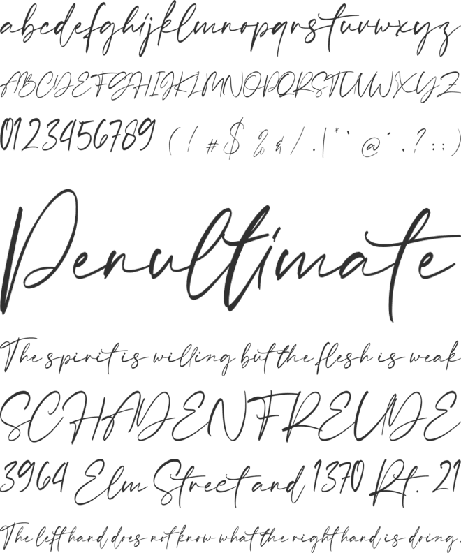 Sellviny font preview