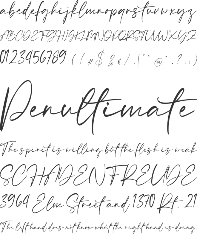Sellviny font preview