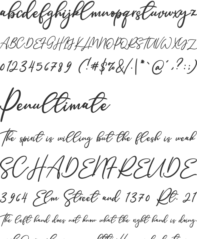 Single Signature font preview