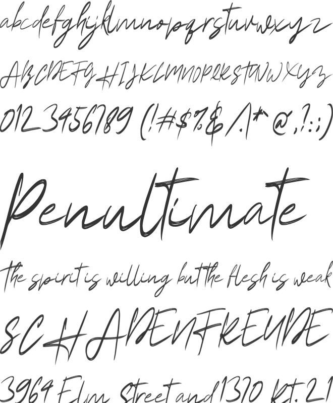 Amantory font preview