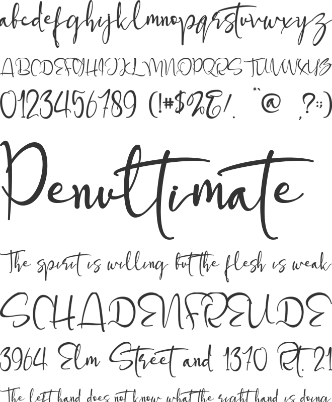 Steffinella font preview