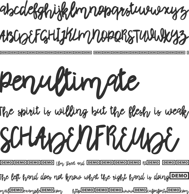 Rhiner font preview