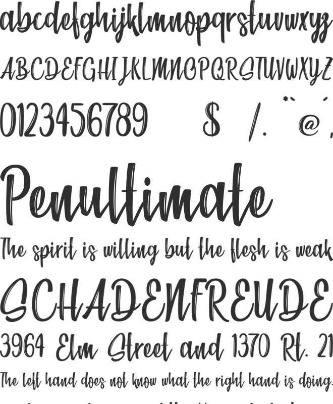 Beach Society font preview