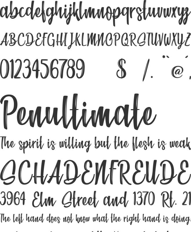 Beach Society font preview