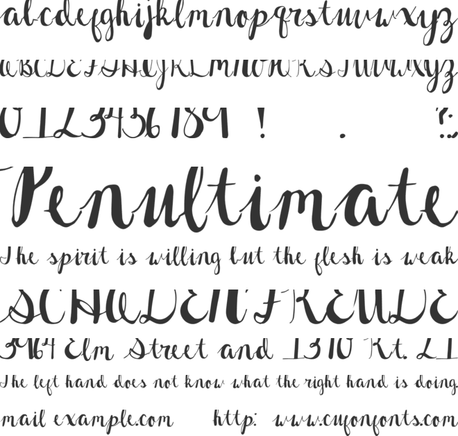 Rasberry Chip font preview