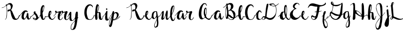 Rasberry Chip font download