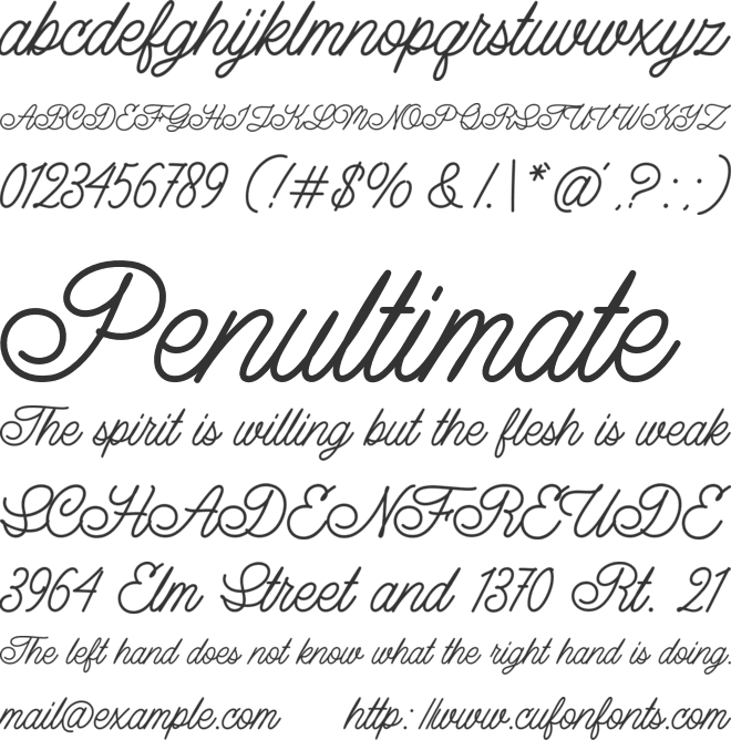 Lazy Ride Script font preview