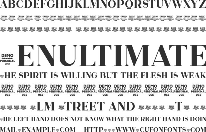 Zilap Exclusive Personal use font preview